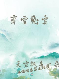 霁雪飞云