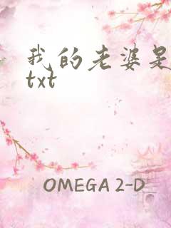 我的老婆是警察txt