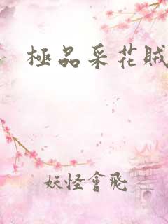极品采花贼