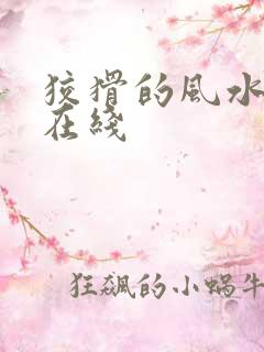 狡猾的风水相师在线