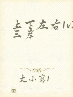 上下左右1v2三岸