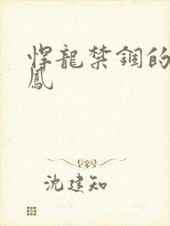 悍龙禁锢的小野凤