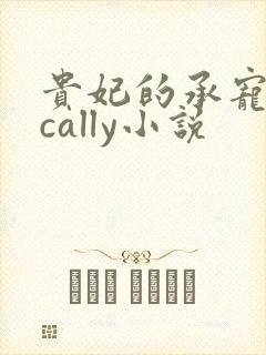 贵妃的承宠日常cally小说