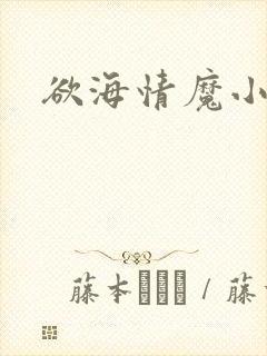 欲海情魔小说