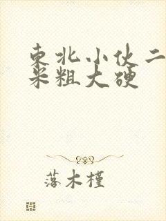 东北小伙二十厘米粗大硬