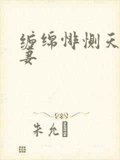 缠绵悱恻天价前妻