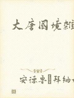 大唐国境杂货店