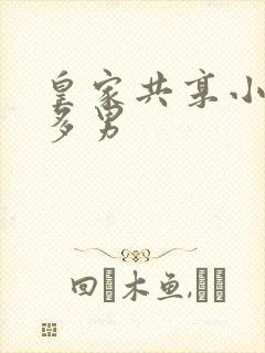 皇家共享小公主多男