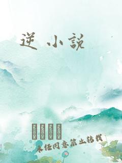 逆 小说