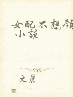 女配不想领便当 小说