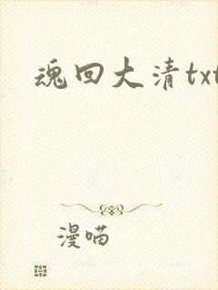 魂回大清txt