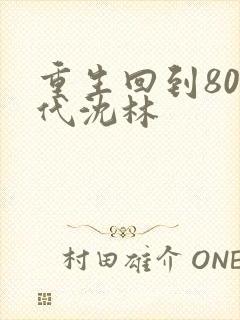 重生回到80年代沈林