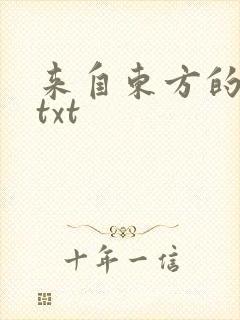 来自东方的骑士txt
