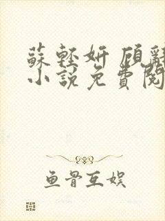 苏轻妍 顾辞笙小说免费阅读