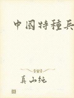 中国特种兵小说