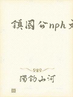 镇国公nph文