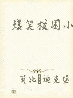 爆笑校园小说