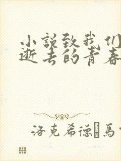 小说致我们终将逝去的青春