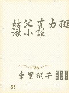 姑父有力挺送徐湫小说