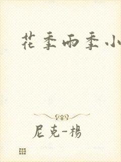 花季雨季小说