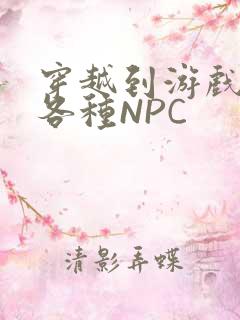 穿越到游戏里和各种NPC