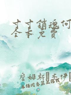 寸寸销魂何生祥全本免费