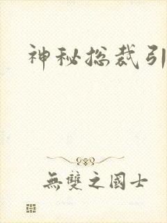 神秘总裁引入怀