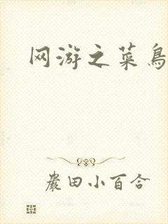 网游之菜鸟江湖