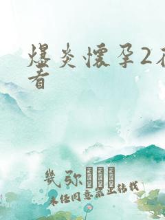 爆炎怀孕2在线看