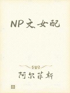 NP文女配