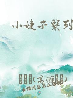 小婕子系列小说