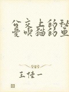 公交上的秘密 爱吃猫的鱼