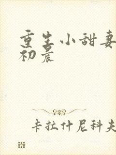 重生小甜妻 慕初晨