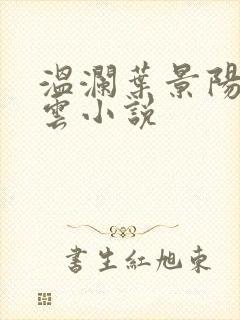 温澜叶景阳温云云小说