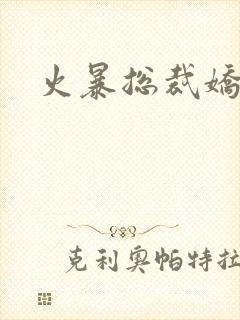 火暴总裁娇柔妻