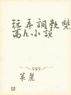 玩弄调教双胞胎高h小说