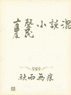 有声小说混世小农民