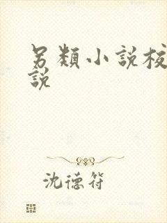 另类小说校园小说