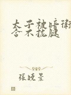 太子被暗卫c到合不拢腿