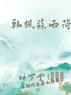 韩枫苏雨荷小说