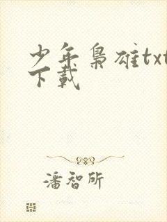 少年枭雄txt下载