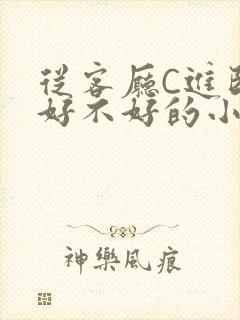 从客厅C进卧室好不好的小说