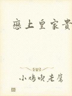 恋上皇家贵公主