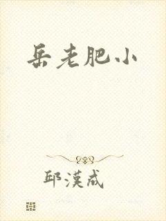 岳老肥小