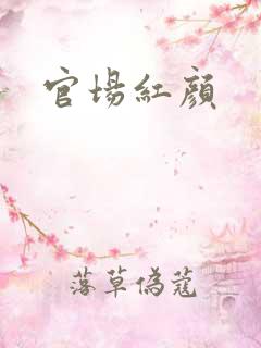 官场红颜