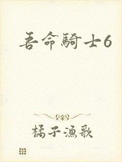 吾命骑士6