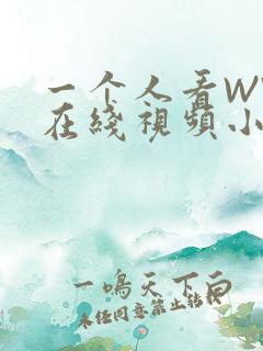 一个人看WWW在线视频小说