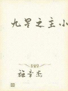 九星之主小说