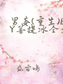 男妾(重生)BY菩提冰全文