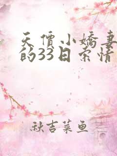 天价小娇妻总裁的33日索情